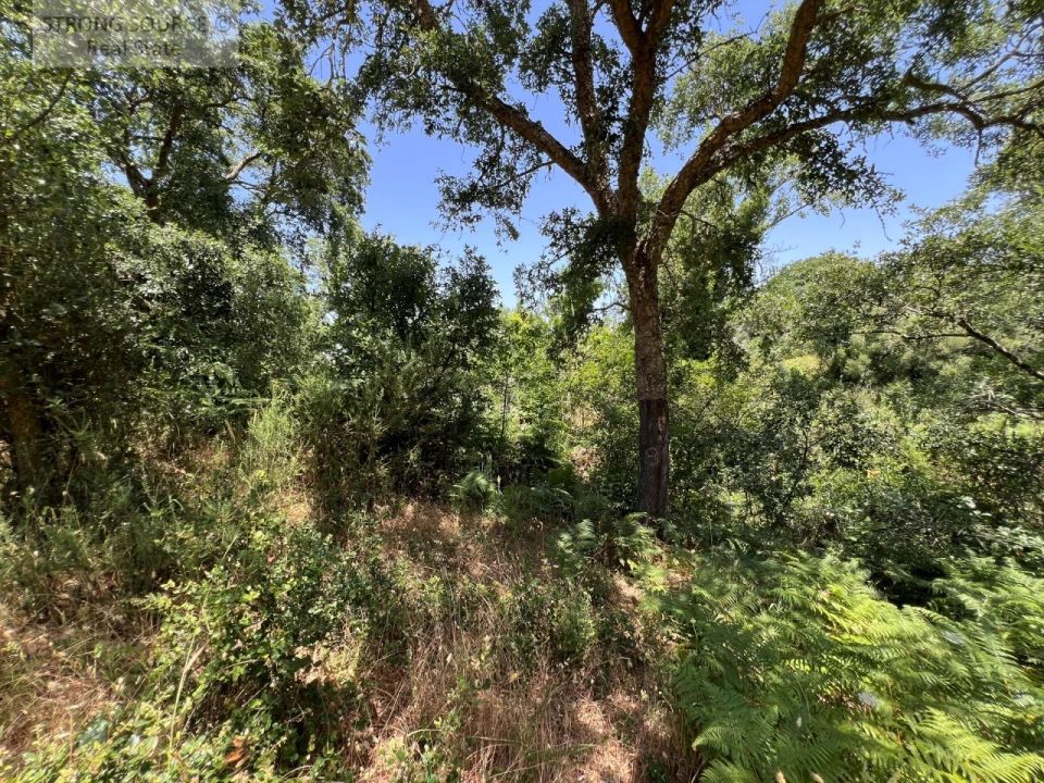 Terreno Misto para Venda em Sesimbra (Castelo) Foto 31