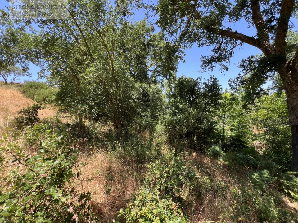 Terreno Misto para Venda em Sesimbra (Castelo) Foto 32