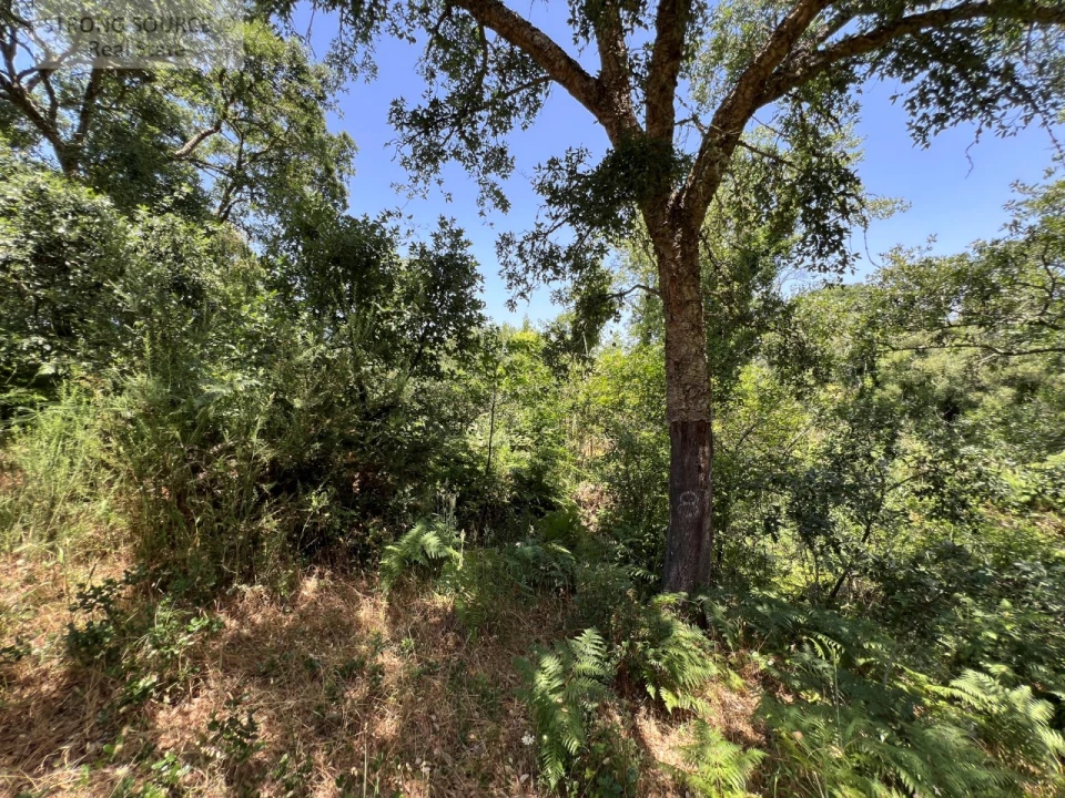 Terreno Misto para Venda em Sesimbra (Castelo) Foto 35