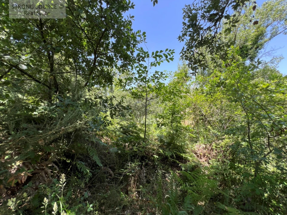 Terreno Misto para Venda em Sesimbra (Castelo) Foto 36