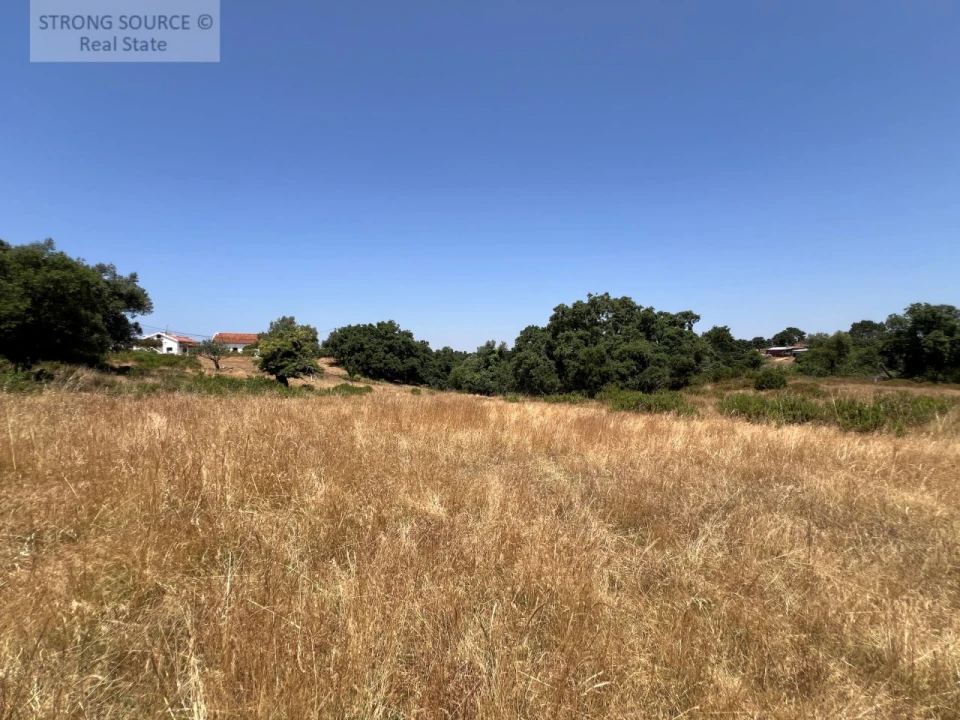 Terreno Misto para Venda em Sesimbra (Castelo) Foto 41