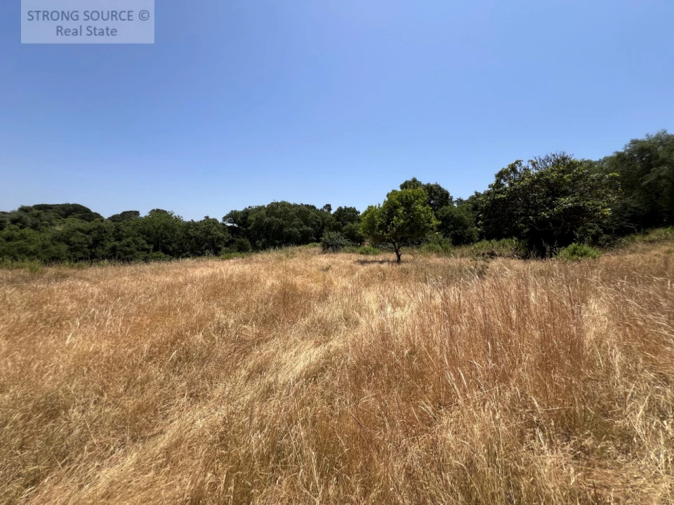 Terreno Misto para Venda em Sesimbra (Castelo) Foto 42