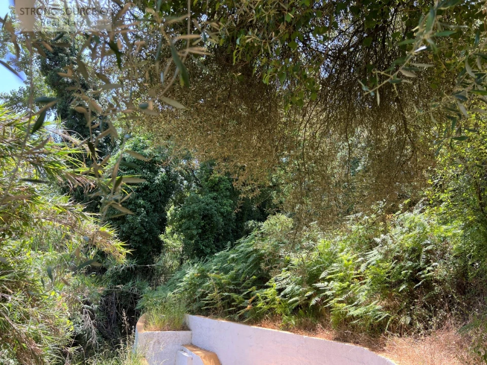 Terreno Misto para Venda em Sesimbra (Castelo) Foto 44