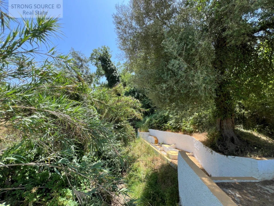 Terreno Misto para Venda em Sesimbra (Castelo) Foto 45