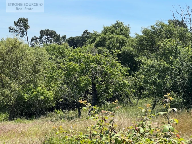 Terreno Misto para Venda em Sesimbra (Castelo) Foto 53
