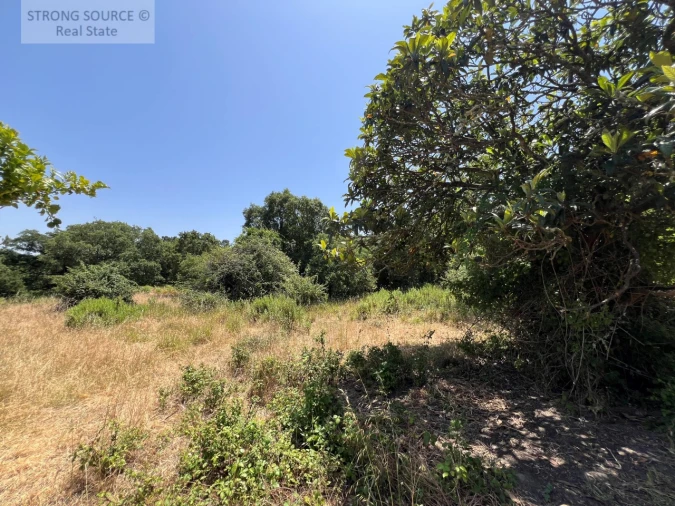 Terreno Misto para Venda em Sesimbra (Castelo) Foto 10