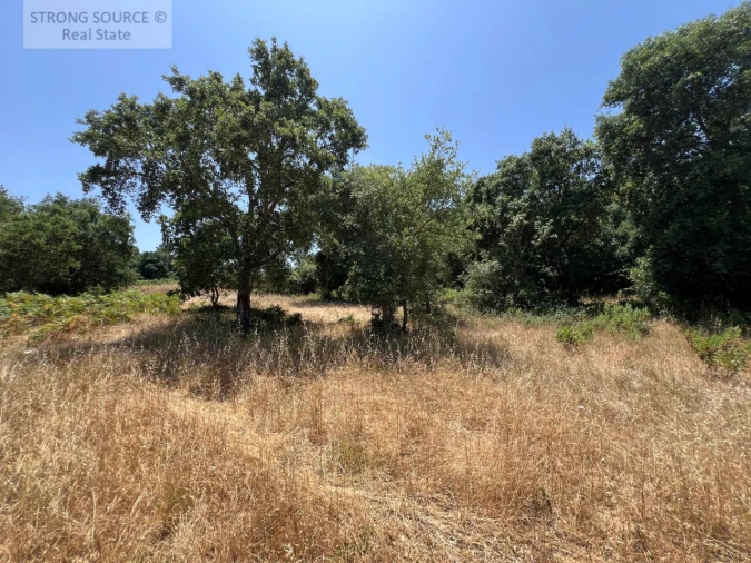 Terreno Misto para Venda em Sesimbra (Castelo) Foto 17