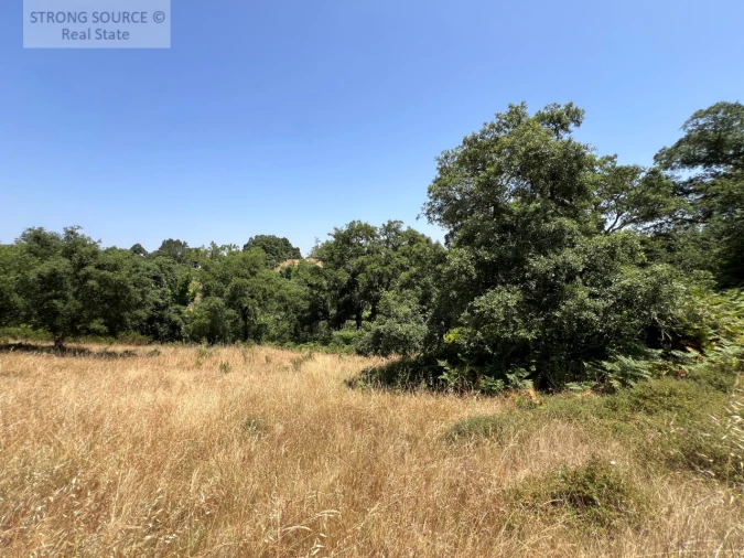 Terreno Misto para Venda em Sesimbra (Castelo) Foto 19