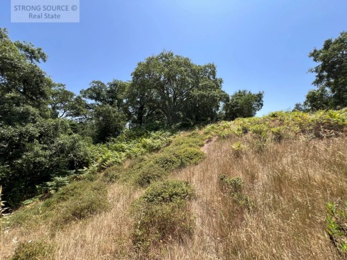 Terreno Misto para Venda em Sesimbra (Castelo) Foto 21