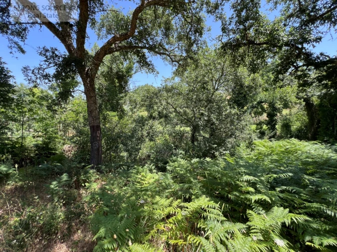 Terreno Misto para Venda em Sesimbra (Castelo) Foto 30