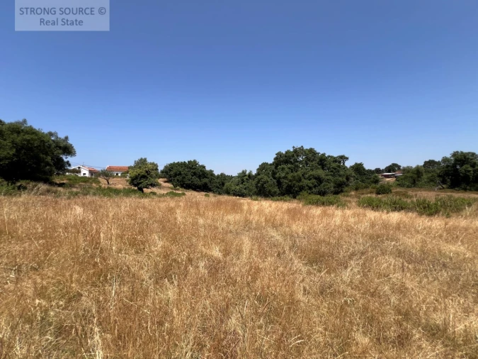 Terreno Misto para Venda em Sesimbra (Castelo) Foto 41