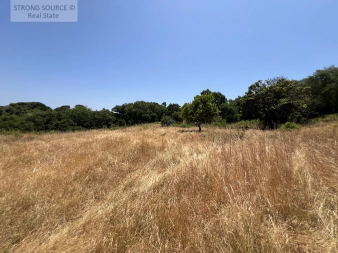 Terreno Misto para Venda em Sesimbra (Castelo) Foto 42