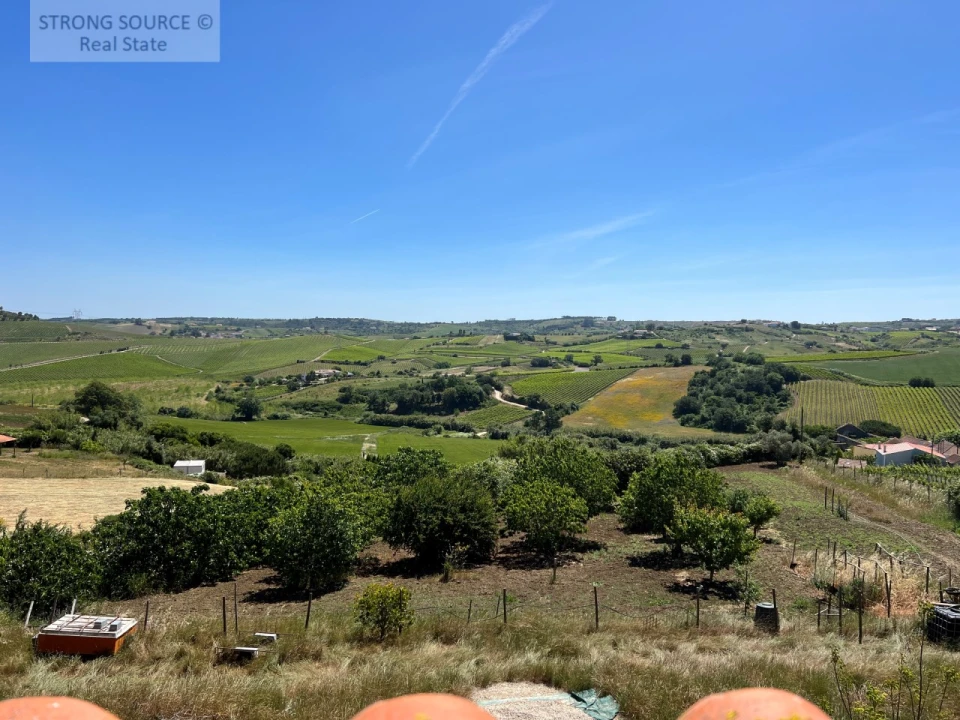 Moradia T6 para Venda em Ribafria e Pereiro de Palhacana Foto 8