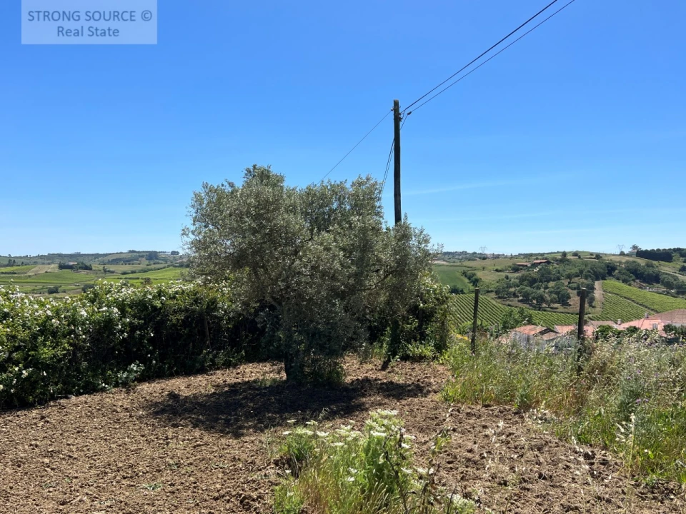 Moradia T6 para Venda em Ribafria e Pereiro de Palhacana Foto 109