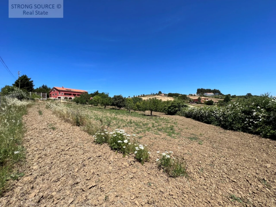 Moradia T6 para Venda em Ribafria e Pereiro de Palhacana Foto 111