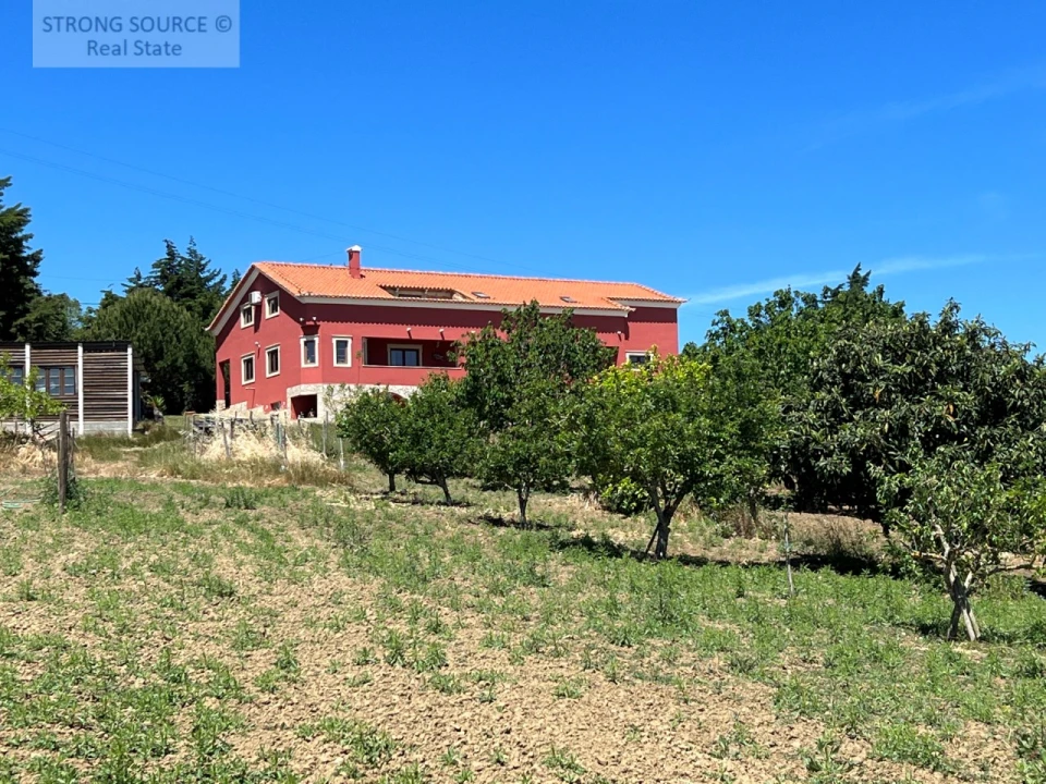 Moradia T6 para Venda em Ribafria e Pereiro de Palhacana Foto 113