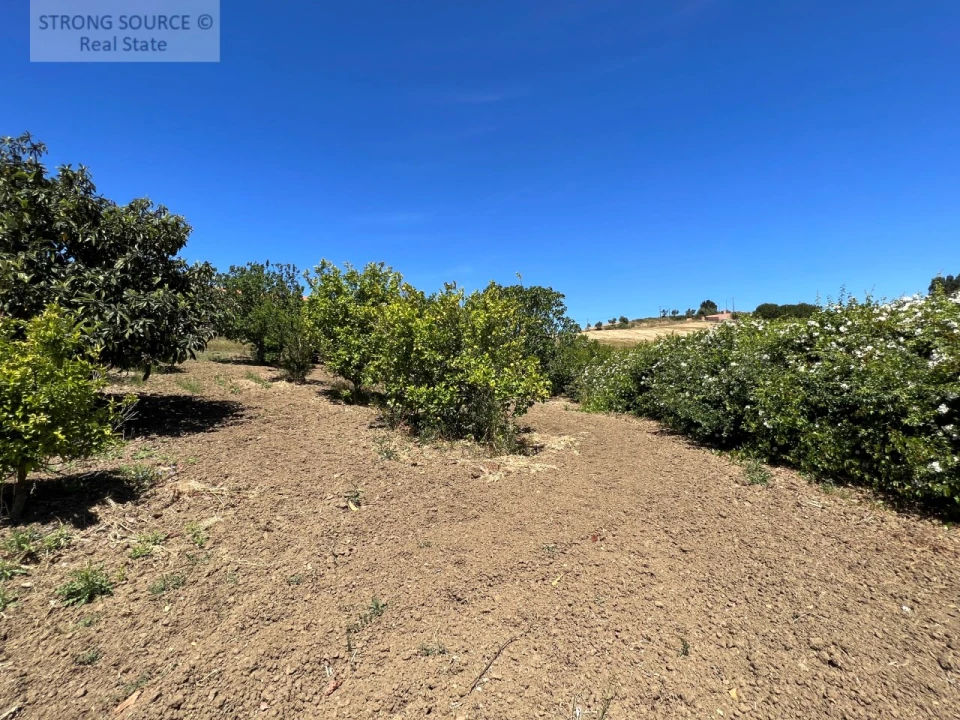 Moradia T6 para Venda em Ribafria e Pereiro de Palhacana Foto 117