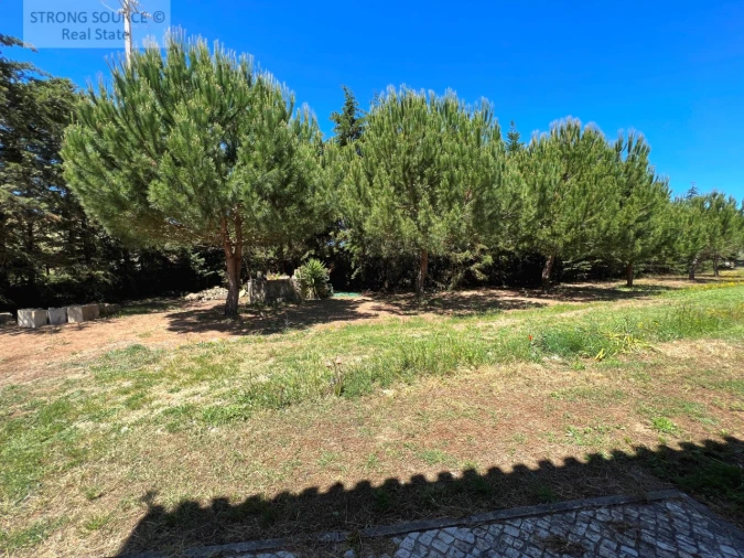 Moradia T6 para Venda em Ribafria e Pereiro de Palhacana Foto 31