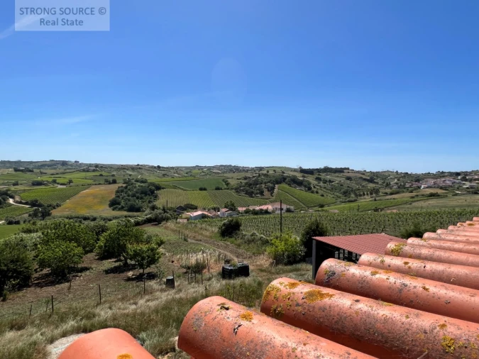 Moradia T6 para Venda em Ribafria e Pereiro de Palhacana Foto 83