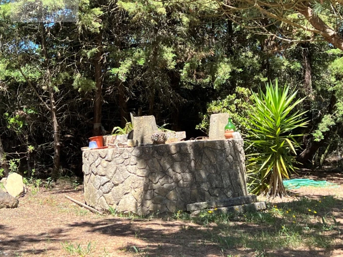 Moradia T6 para Venda em Ribafria e Pereiro de Palhacana Foto 105