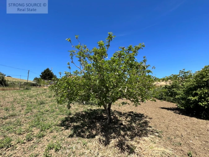 Moradia T6 para Venda em Ribafria e Pereiro de Palhacana Foto 114
