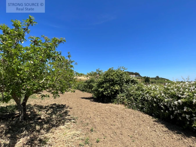 Moradia T6 para Venda em Ribafria e Pereiro de Palhacana Foto 115