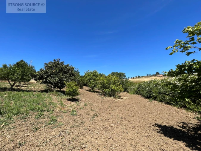 Moradia T6 para Venda em Ribafria e Pereiro de Palhacana Foto 116