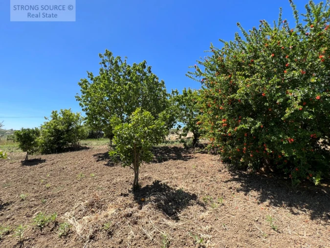 Moradia T6 para Venda em Ribafria e Pereiro de Palhacana Foto 124