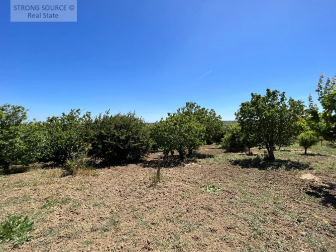 Moradia T6 para Venda em Ribafria e Pereiro de Palhacana Foto 127