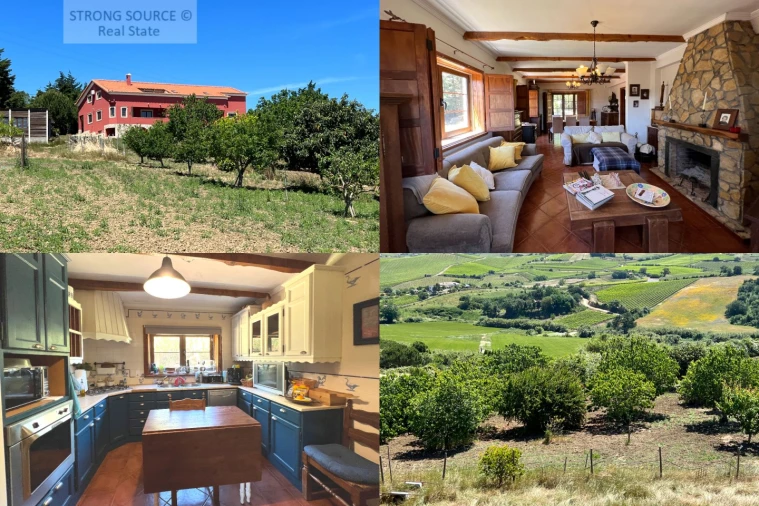 Moradia T6 para Venda em Ribafria e Pereiro de Palhacana Foto 1