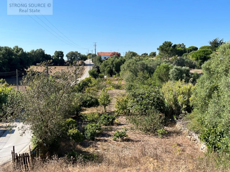Terreno para Venda em Sesimbra (Castelo) Foto 3