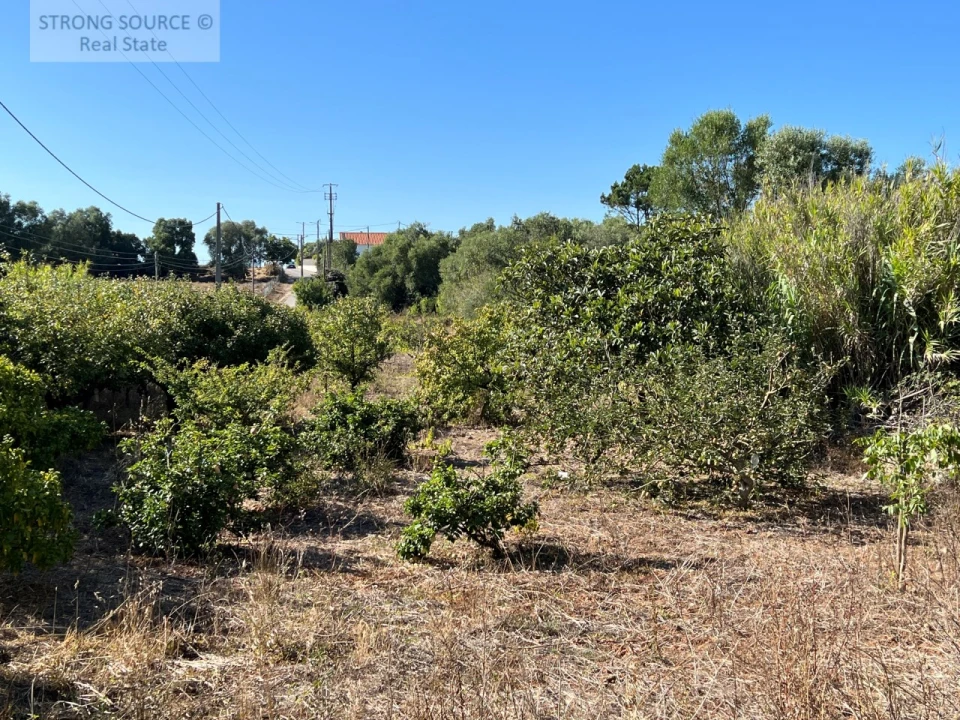 Terreno para Venda em Sesimbra (Castelo) Foto 5