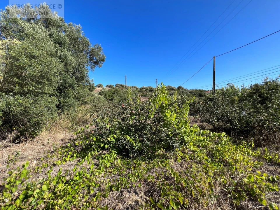 Terreno para Venda em Sesimbra (Castelo) Foto 7