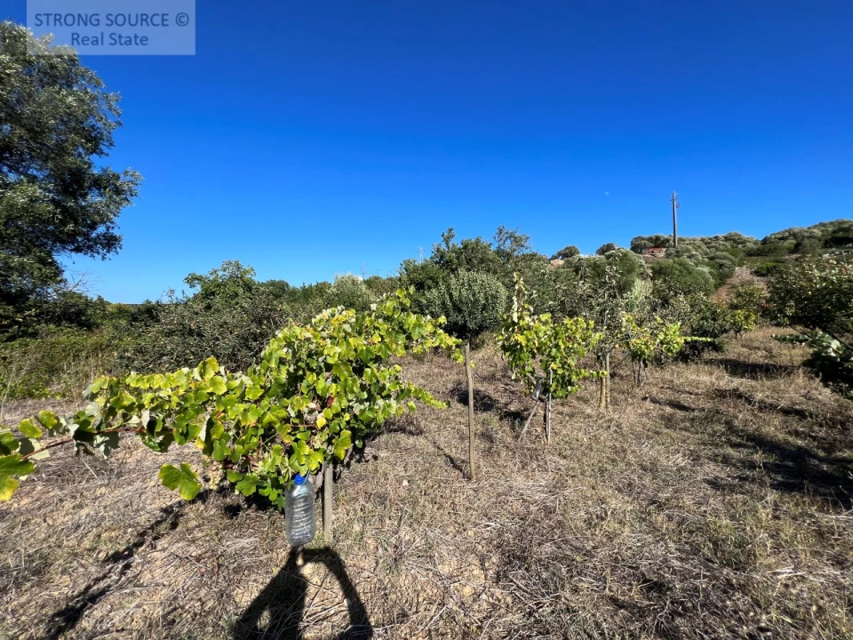 Terreno para Venda em Sesimbra (Castelo) Foto 9