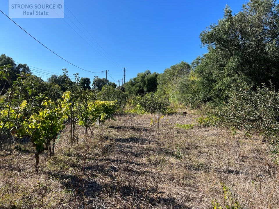 Terreno para Venda em Sesimbra (Castelo) Foto 10