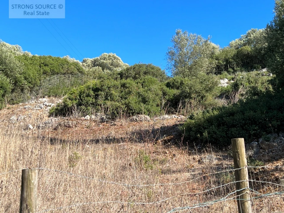 Terreno para Venda em Sesimbra (Castelo) Foto 12