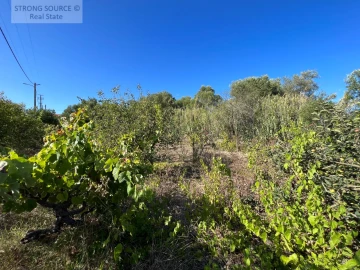Terreno para Venda em Sesimbra (Castelo)