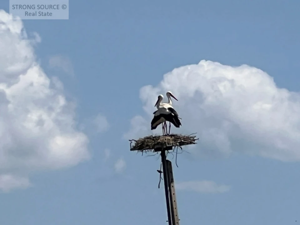 Moradia T6 para Venda em Torrão Foto 177