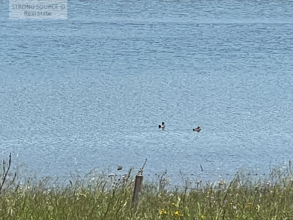 Moradia T6 para Venda em Torrão Foto 172