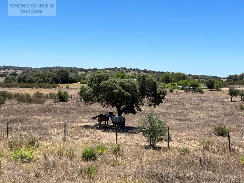 Moradia T6 para Venda em Torrão Foto 115