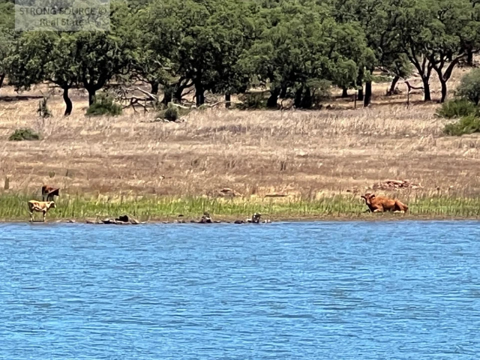 Moradia T6 para Venda em Torrão Foto 210