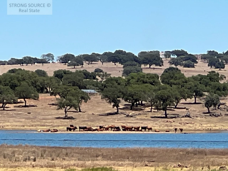 Moradia T6 para Venda em Torrão Foto 211