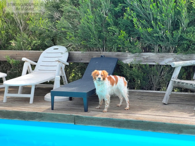 Moradia T6 para Venda em Torrão Foto 8