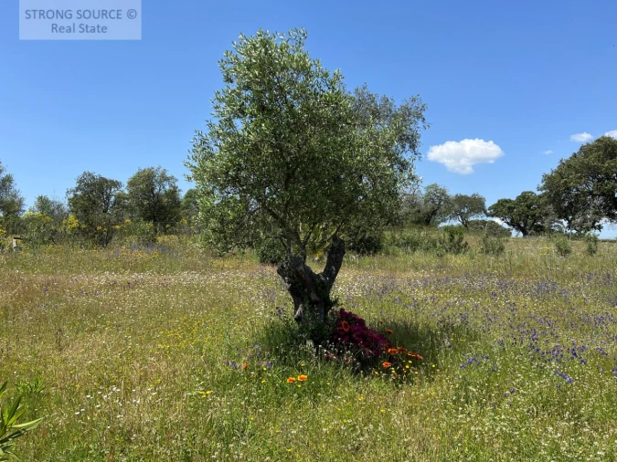 Moradia T6 para Venda em Torrão Foto 151