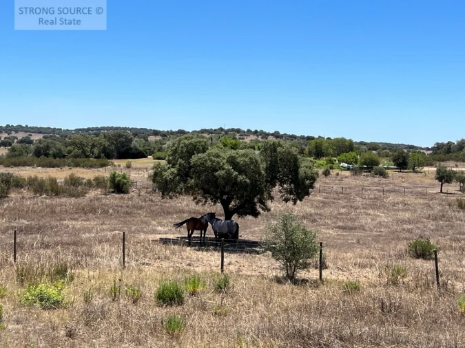 Moradia T6 para Venda em Torrão Foto 115
