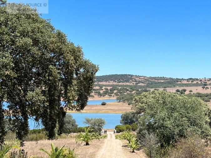 Moradia T6 para Venda em Torrão Foto 206