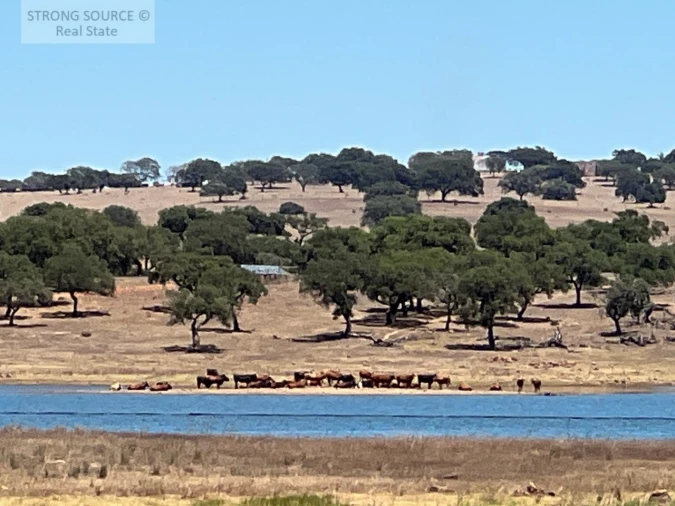 Moradia T6 para Venda em Torrão Foto 211