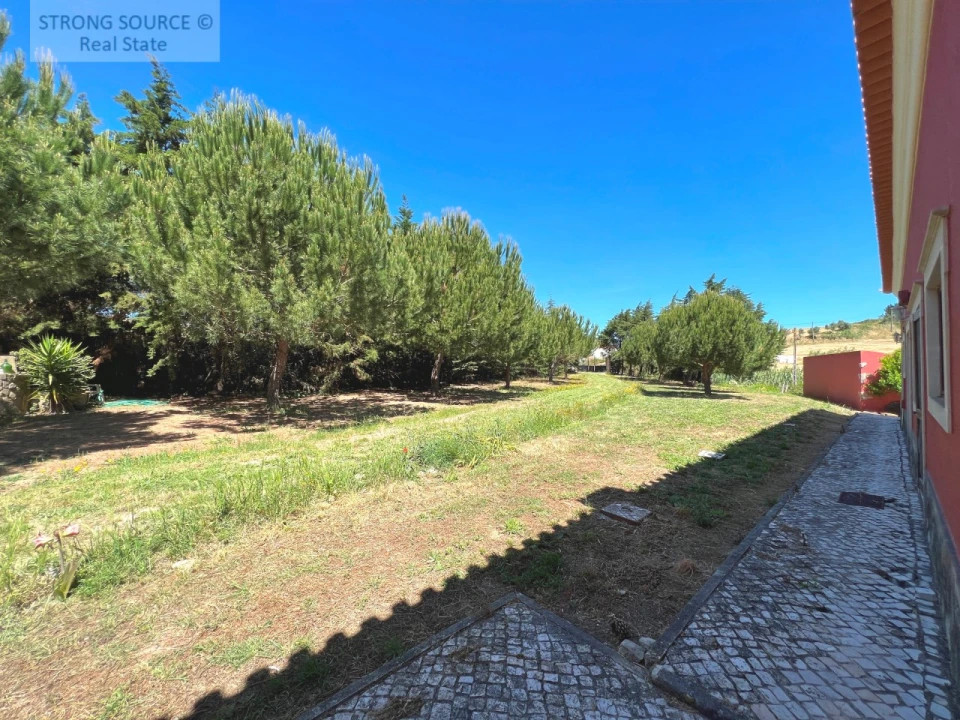 Quinta T6 para Venda em Ribafria e Pereiro de Palhacana Foto 30