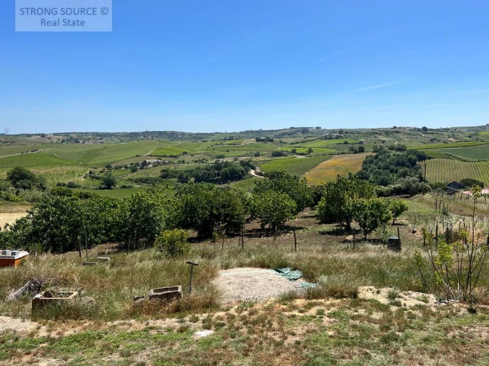Quinta T6 para Venda em Ribafria e Pereiro de Palhacana Foto 40