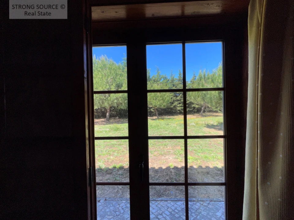 Quinta T6 para Venda em Ribafria e Pereiro de Palhacana Foto 71